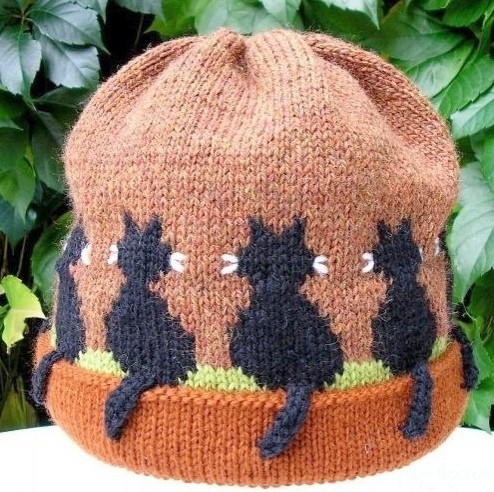 Кошки с хвостиками