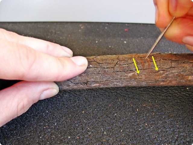 Натуральные деревянные пуговицы своими руками: мастер-класс