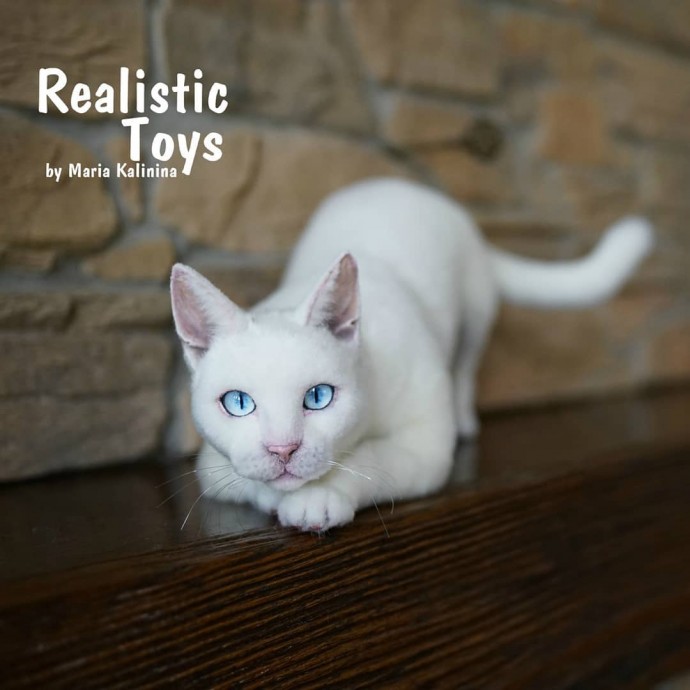 Нереально реальные животные