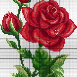 ​Вышиваем розу