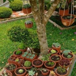 Идеи для дачи