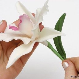 Орхидея из холодного фарфора