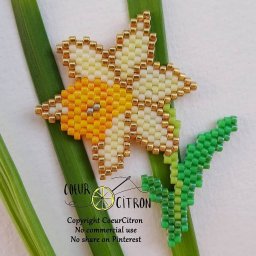 Нарцисс кирпичным плетением