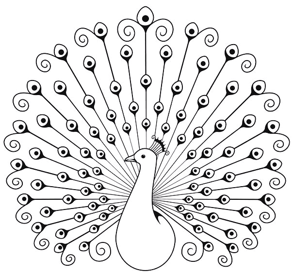 Раскраска антистресс для взрослых и детей "Павлин"