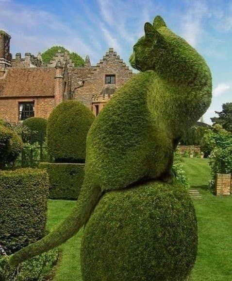 Невероятные зеленые фигуры