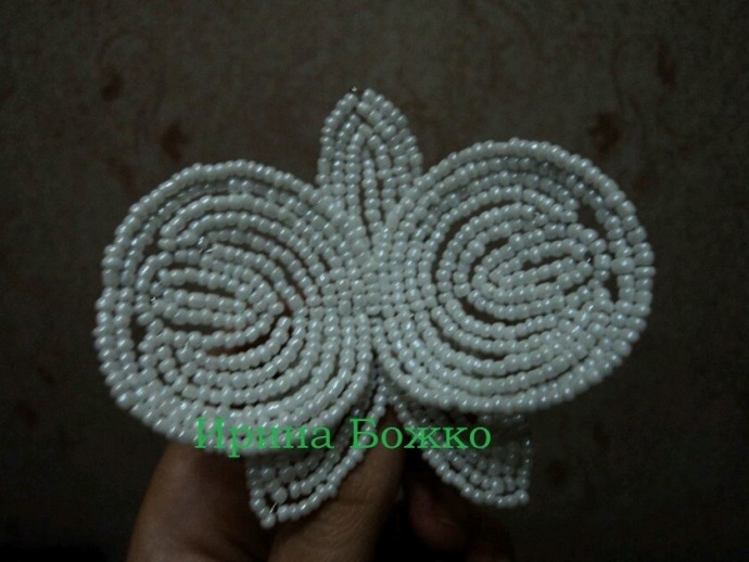 Белая орхидея