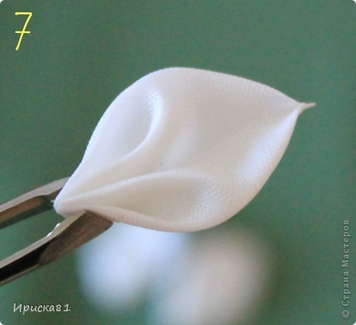 Правдоподобный и изумительно красивый нарцисс