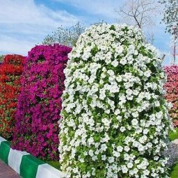 Шикарная вертикальная клумба