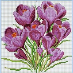 ​Весенние крокусы