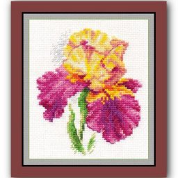 Вышиваем яркий ирис