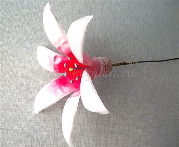 Цветы из пластиковых бутылок для сада: мастер-класс Цветы из пластиковых бутылок для сада: мастер-класс