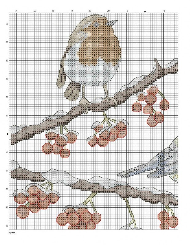 Вышивка "Замерзшие птички"