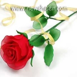 ​Цветы из капрона