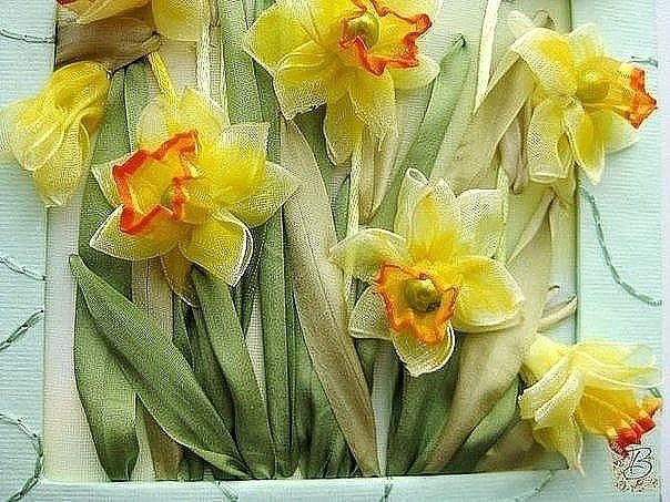 Нарциссы из лент