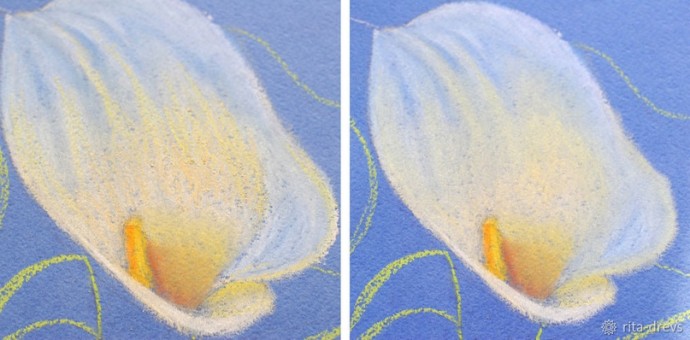 Рисуем пастелью изящный цветок каллы