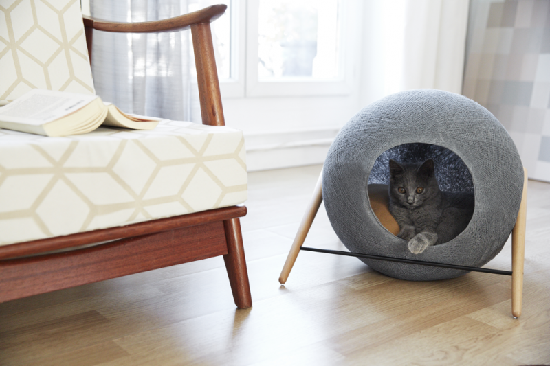 Уютные и оригинальные кроватки для котиков: идеи