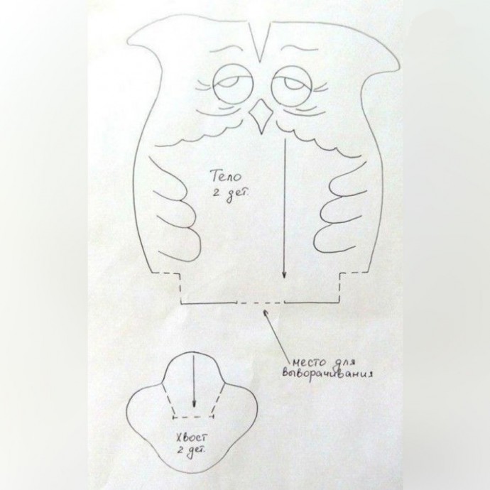​Забавная сова