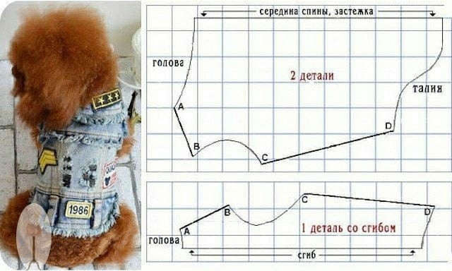 ​Комбинезон для собачки