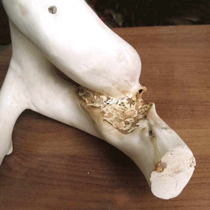 Деревянная статуэтка Деревянная статуэтка