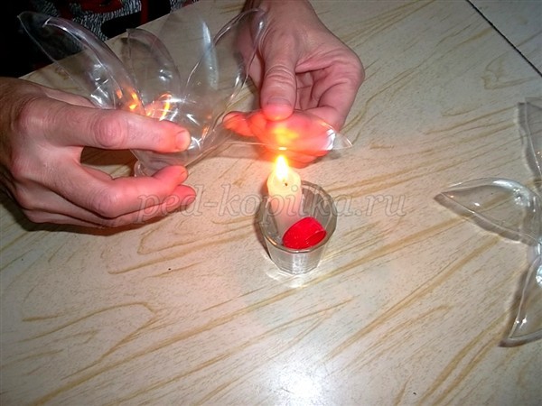 Цветы из пластиковых бутылок для сада: мастер-класс Цветы из пластиковых бутылок для сада: мастер-класс