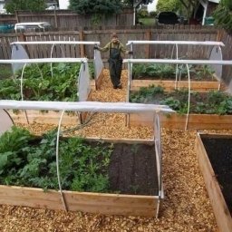 ​Парник своими руками