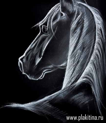 Рисуем белой пастелью черного коня