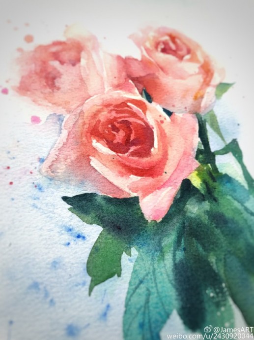 Рисуем розы акварелью