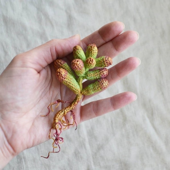 ​Вяжем разные растения