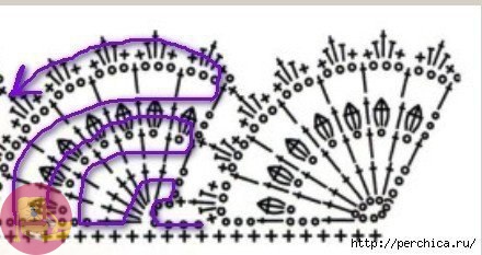 Кайма Кайма