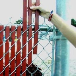 Дачные хитрости: украшаем сетку-рабицу