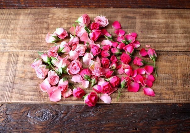 Цветочные кубики льда