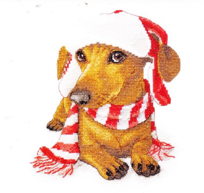 ​Очаровательная собачка