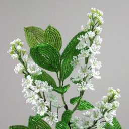 ​Ветка в цвету