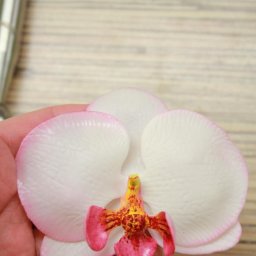 ​Фаленопсис из полимерной глины или холодного фарфора