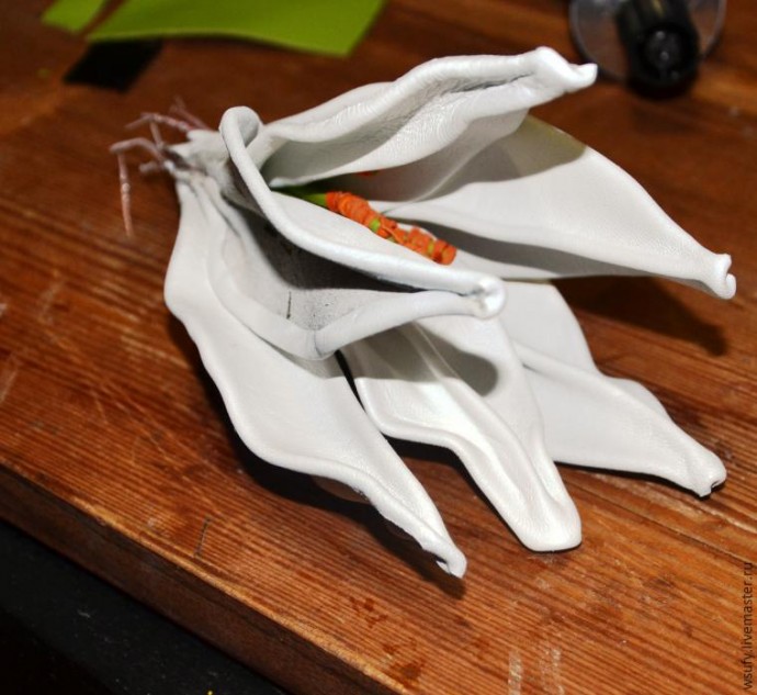 Лилия "Белая королева"