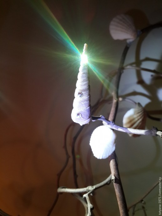 Композиция "Сокровища моря" Композиция "Сокровища моря"