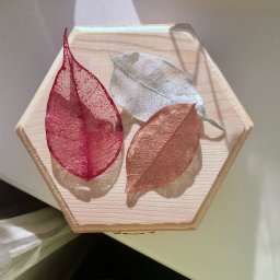 2 способа скелетирования листьев