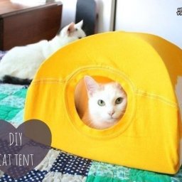 Простой домик для кошки