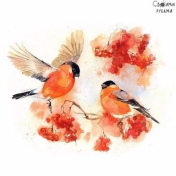 Снегири, нарисованные акварелью