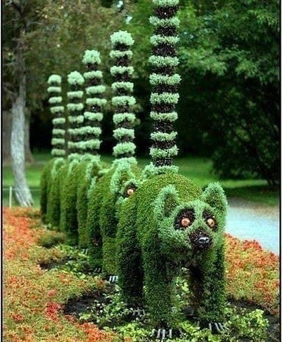 Невероятные зеленые фигуры