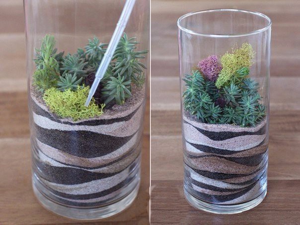 ​Красивый декор с суккулентами и цветным песком