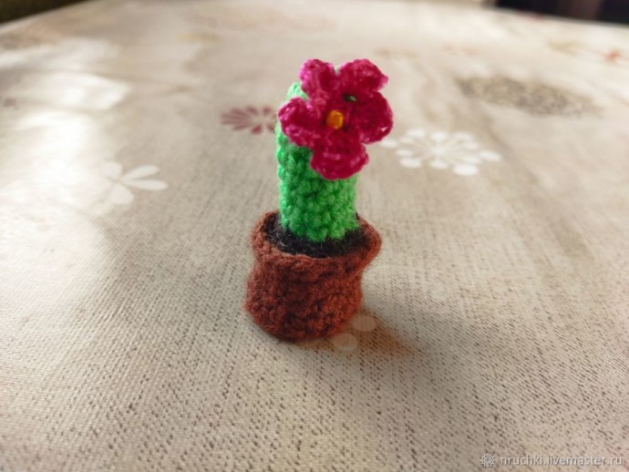 Вяжем мини-кактус Вяжем мини-кактус
