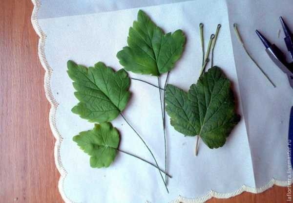 ​Черная смородина из холодного фарфора