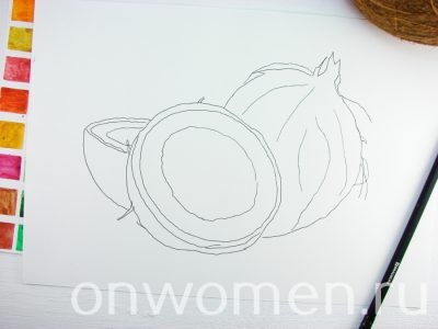 Как нарисовать кокос акварелью