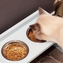 Кормушка для домашнего любимчика