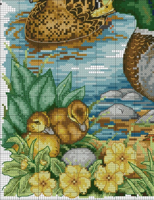 Селезень и уточка Селезень и уточка