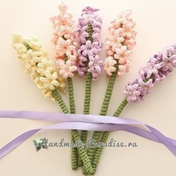 Гиацинт крючком