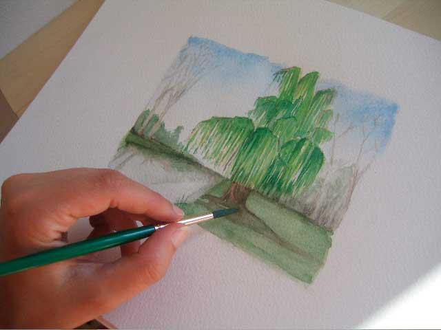 Плакучая ива акварелью