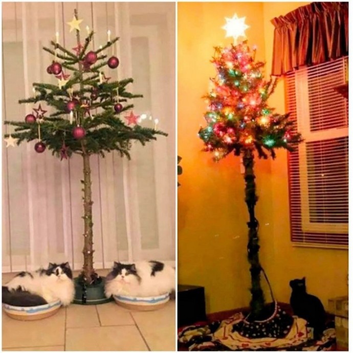 ​Антивандальные варианты ёлочек