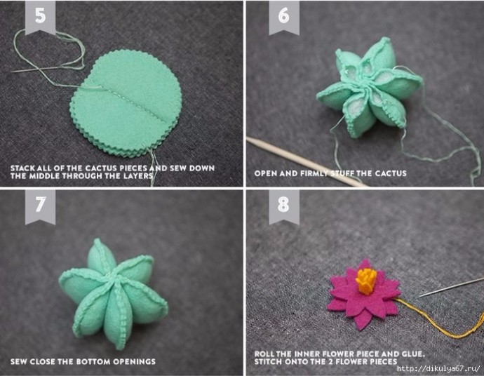 Игольница-кактус